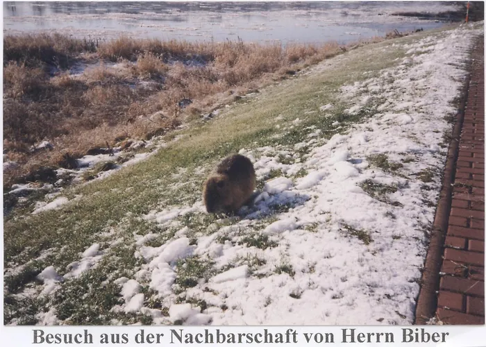 Elbterrassen zu Brambach